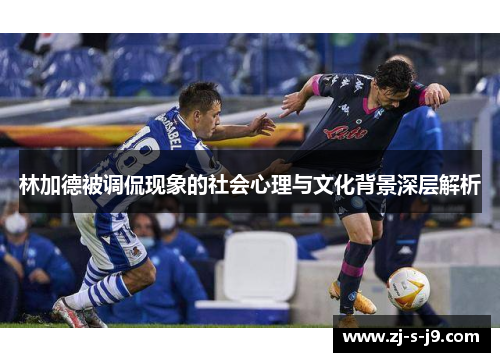 林加德被调侃现象的社会心理与文化背景深层解析