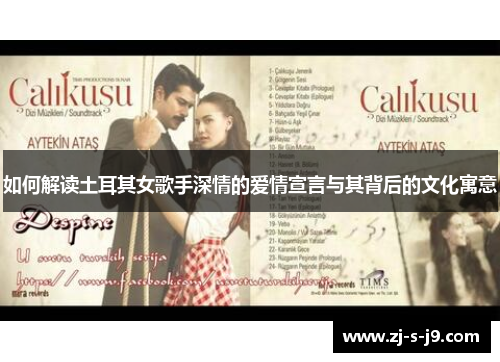 如何解读土耳其女歌手深情的爱情宣言与其背后的文化寓意