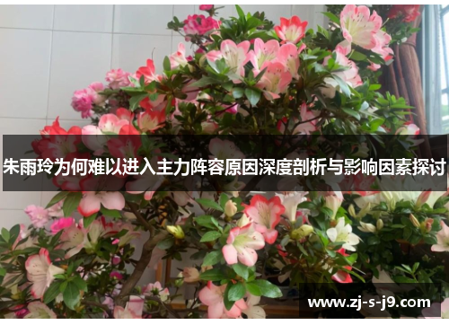 朱雨玲为何难以进入主力阵容原因深度剖析与影响因素探讨